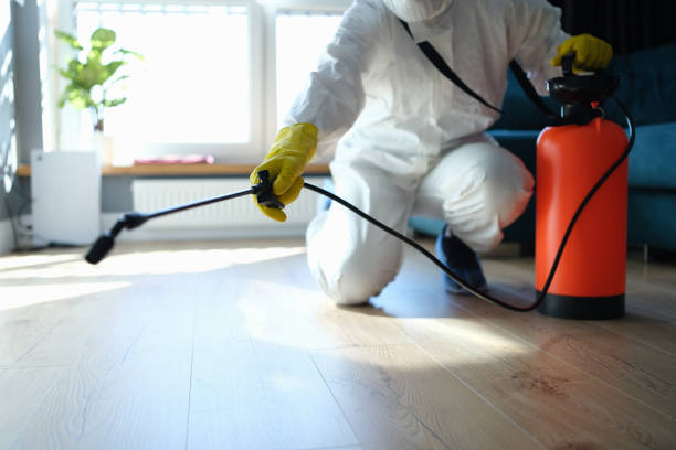 Reliable Biohazard Cleanup contractor in New Athens, IL by Dulley Family Biohazard Services
